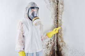 Mold Odor Removal Services in Lancaster, SC